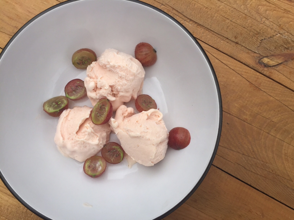 scoops at the ready for gooseberry icecream Angela Langford Skincare