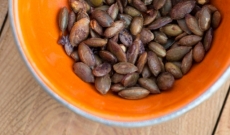 soy roasted pumpkin seeds