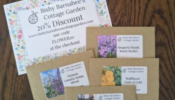 Free flower seeds from Bishy Barnabees Cottage Garden