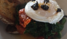 fancy sunday brunch? hail the kale!