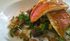 it's fishy friday! try my red mullet with wild garlic